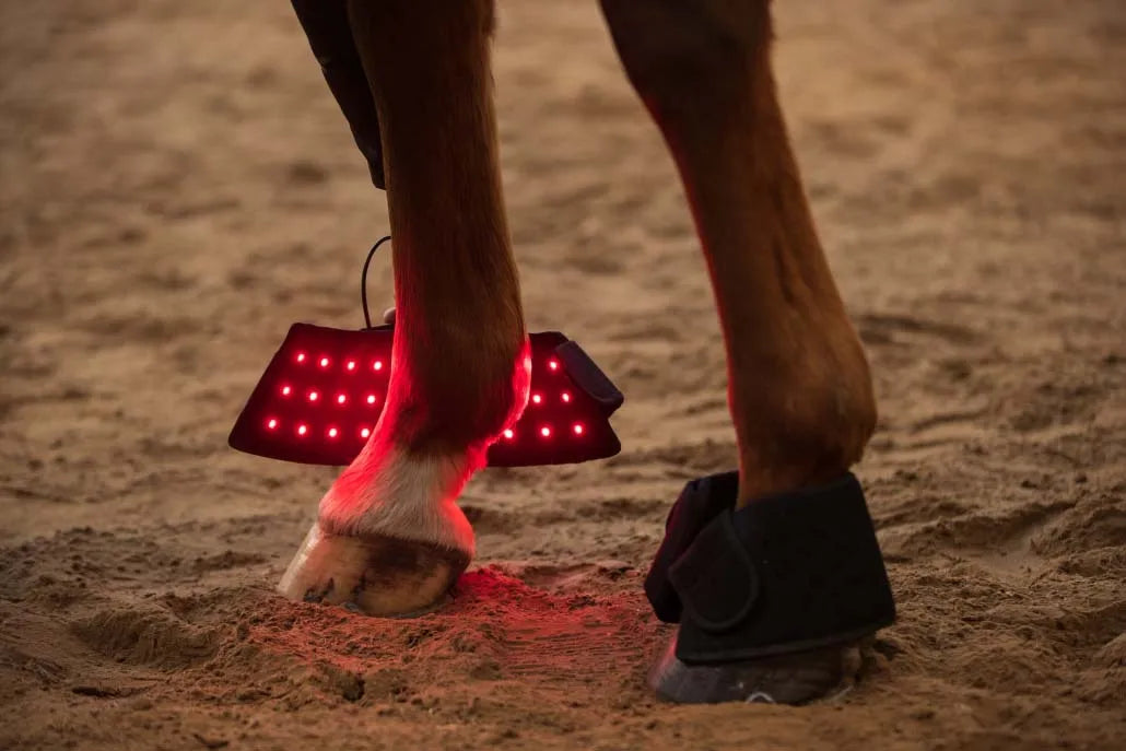 LED Red Infrared Light, Equestrian Horse, Leg Hoof Boot, Therapy Wrap