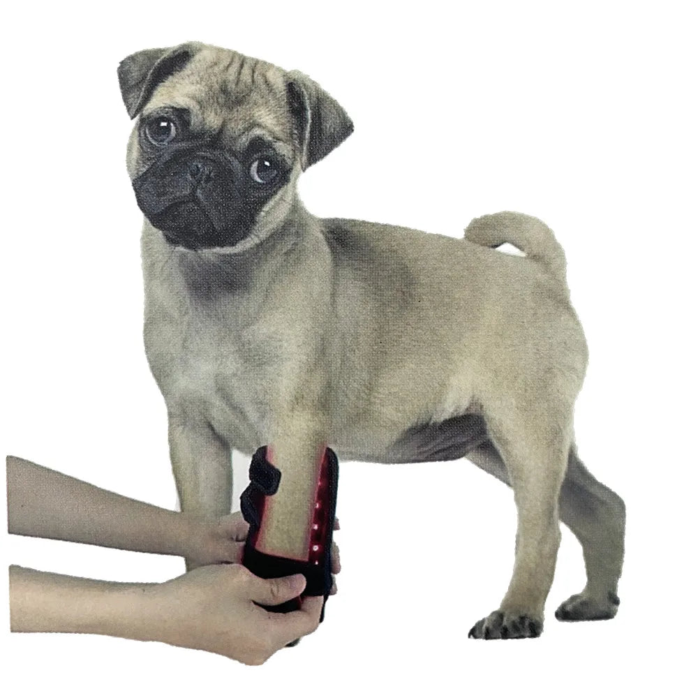 Dog/Cat Leg Wrap, Red Light Therapy, Pain Relief