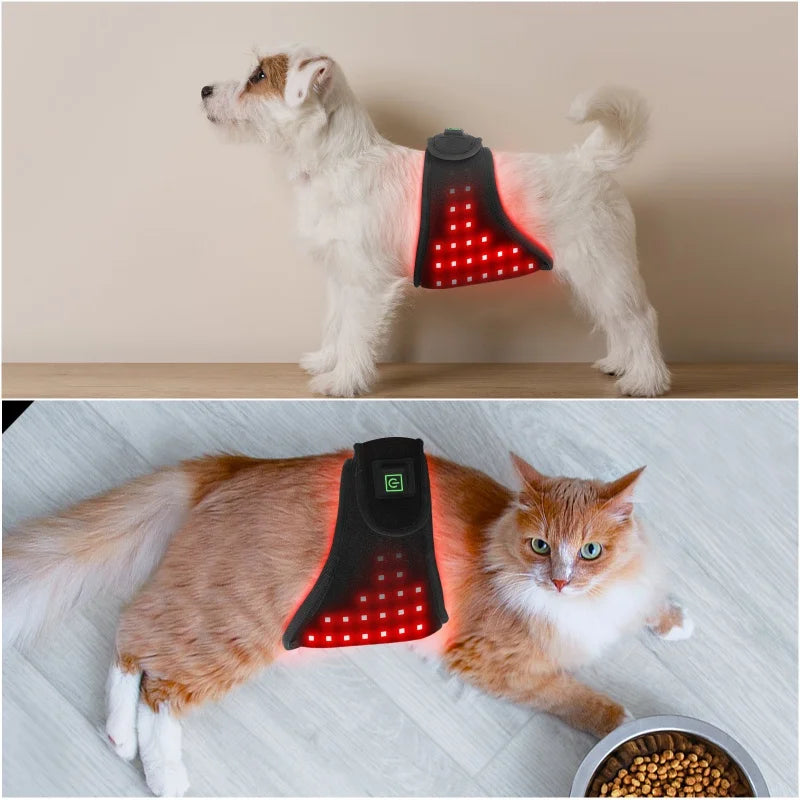 Pet Wearable body wrap, red light therapy, belt for pet