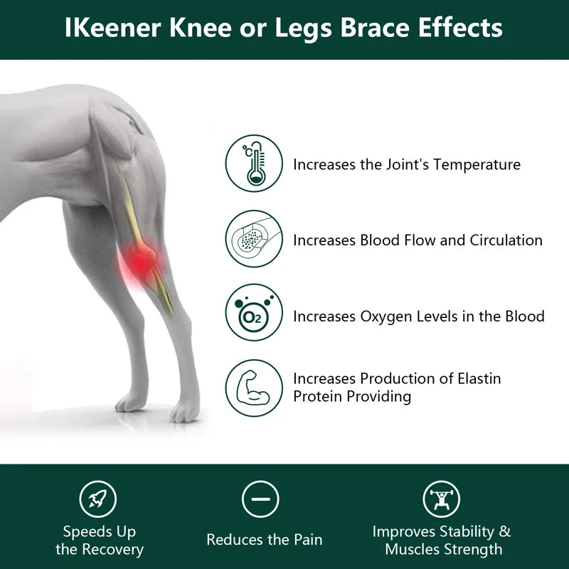 Laser Therapy for Dogs, Pain Relief&Wound Healing&Joint/Muscle Stiffness Handheld