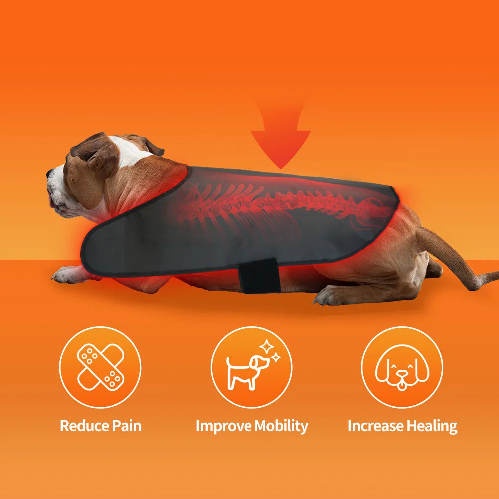 Pet red light infrared therapy device for cats and dogs, back and abdomen injuries, fracture healing, portable timing