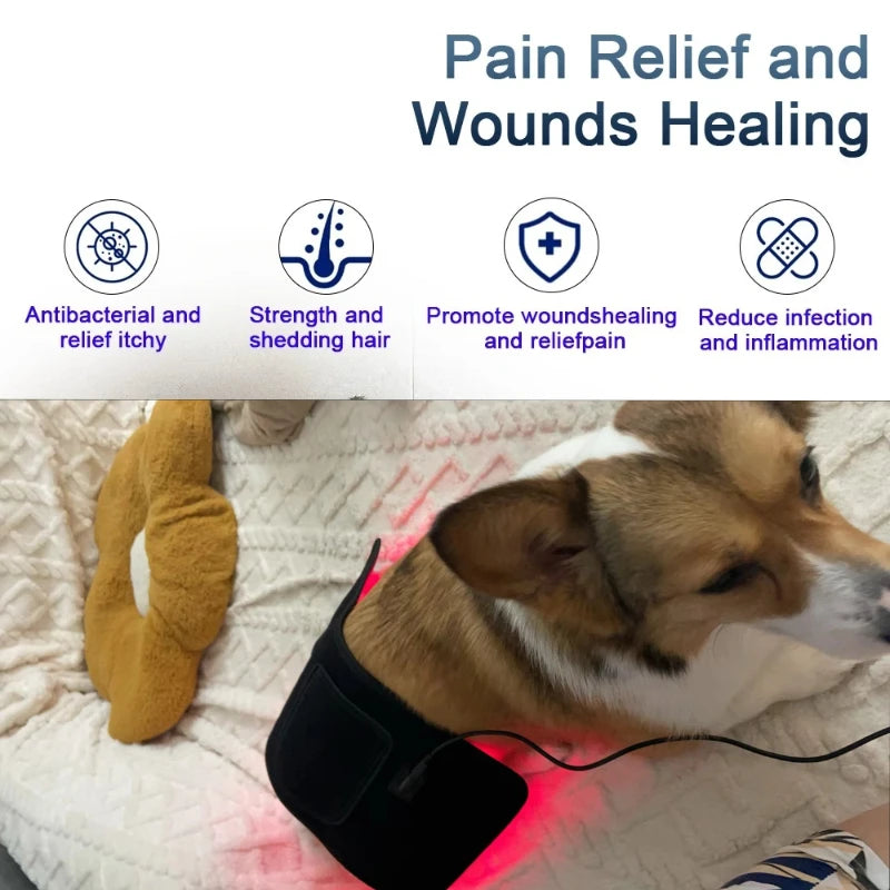 Pet Red light LED therapy, physiotherapy veterinarian equipment for Pet, dog pain relief (Medium)