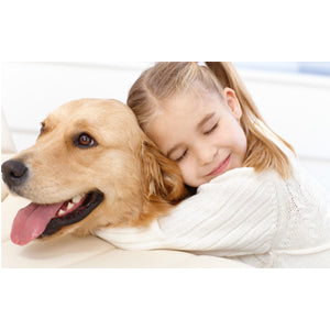 Pets, Arthritis Treatment, Pain Relief, Red Light Therapy, Portable.